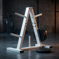 Weight Plate Rack, Weight Tree, Home Gym Storage Stand, Holds 300 Lbs — Studio Shot