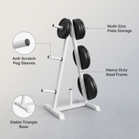 Weight Plate Rack, Weight Tree, Home Gym Storage Stand, Holds 300 Lbs — infographic